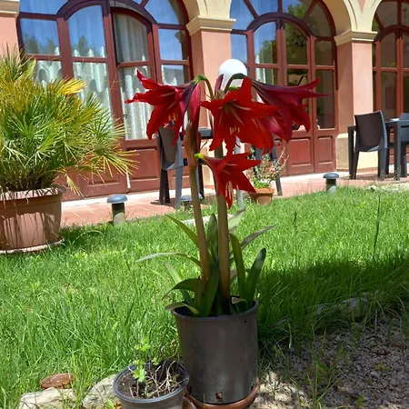 Antica Frühstückspension 4*