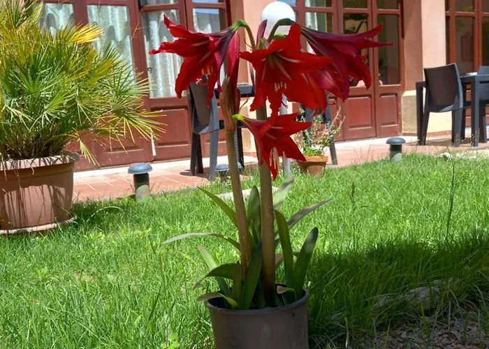 Antica Bed & Breakfast 4*