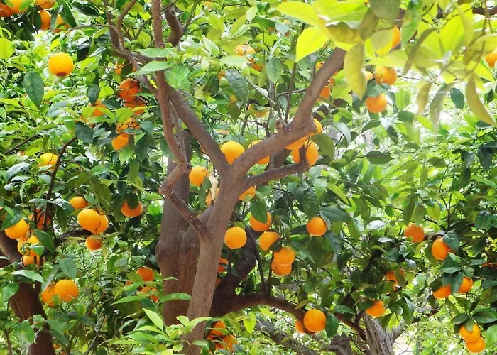 Antica Bed & Breakfast 4*