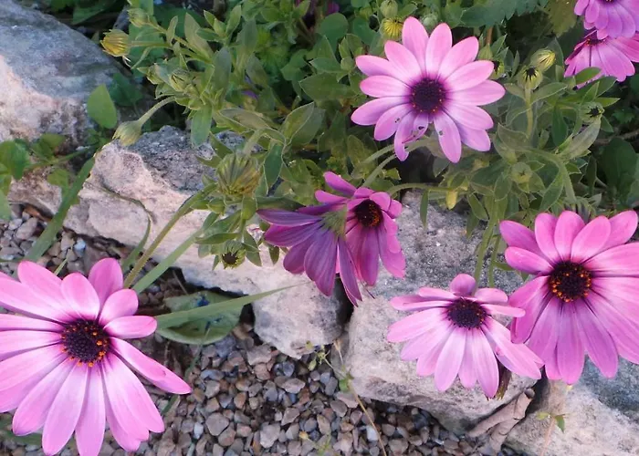 Antica Bed & Breakfast 4*